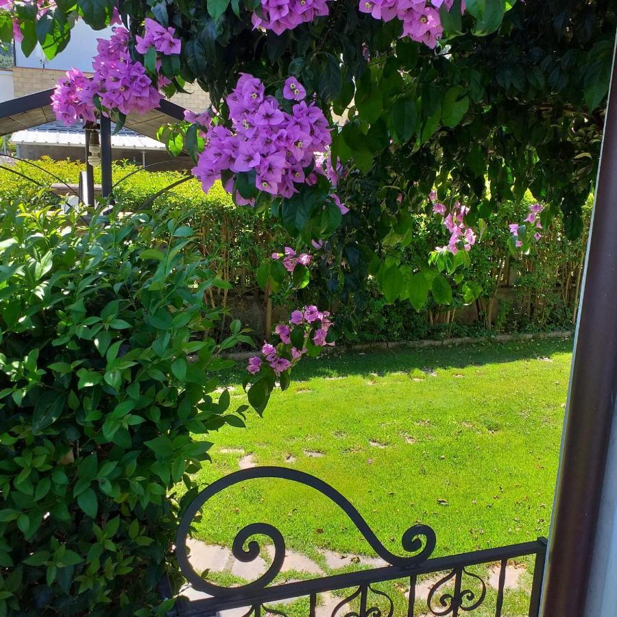 La Bouganville Di Sante E Rosa Manoppello Bagian luar foto